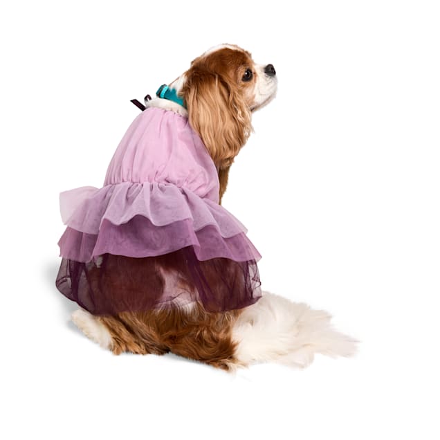 petco christmas dress YOULY Ruffle for Dogs, XX-Small, Purple Dog pajamas