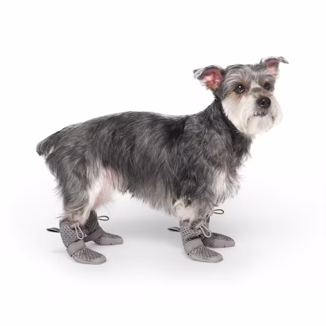 Canada Pooch Hot Pavement Boots Dog, Grey, Size 6 | Petco