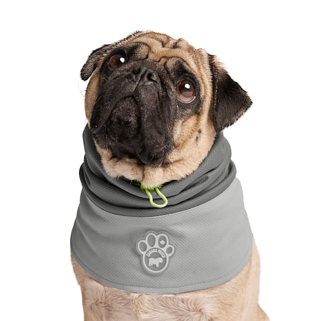 Canada Pooch Max Chill Cooling Dog Snood, Grey, Small | Petco