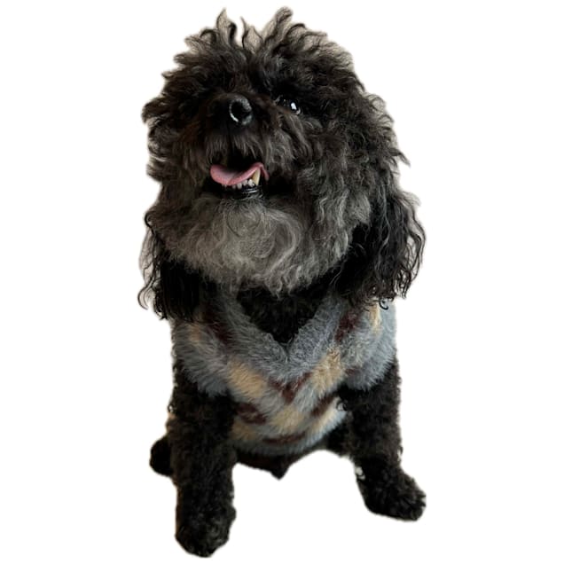 2016 whole dog journal wet food pdf Leaping Waters Grain Free Wet Food for Dogs | Fish Dog Food