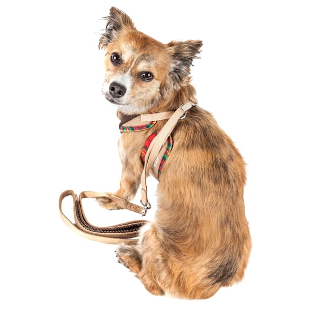 Petco adjustable mesh harness clearance