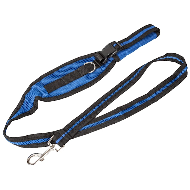 Pet Life Echelon Hands Free and Convertible 2 in 1 Training Dog Leash and Pet Belt with Pouch Blue 5.24 ft. Petco