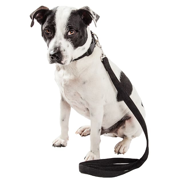 best dog crate water bowl Crate Bowl