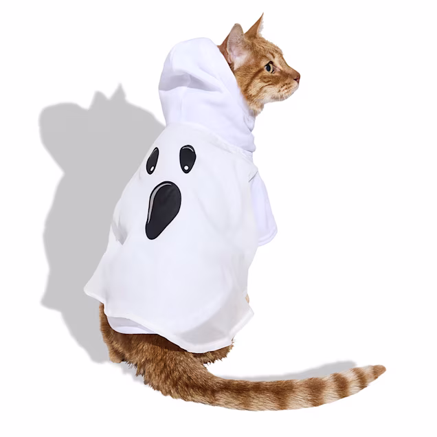 Bootique Classic Ghost Pet Halloween Costume, Medium Petco