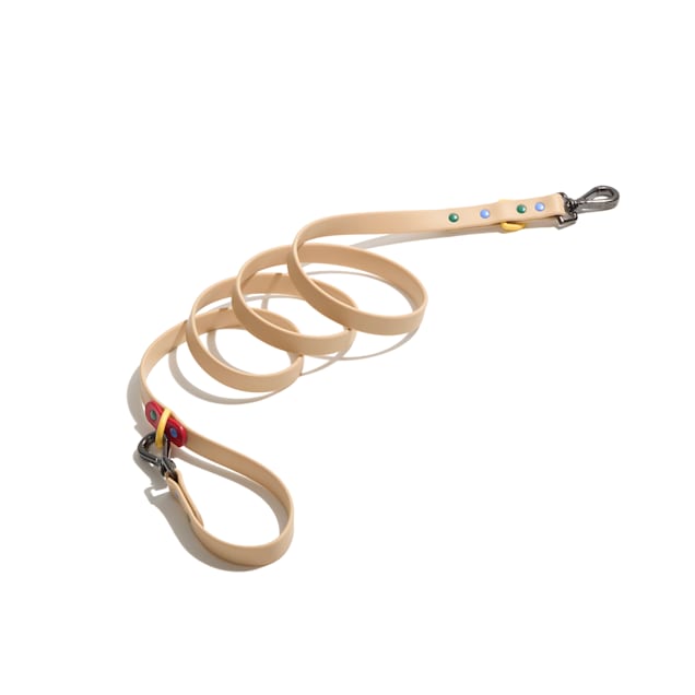 Wild One Waterproof Dog Leash, Retro Colorblock, 5.5 ft. - Carousel image #1