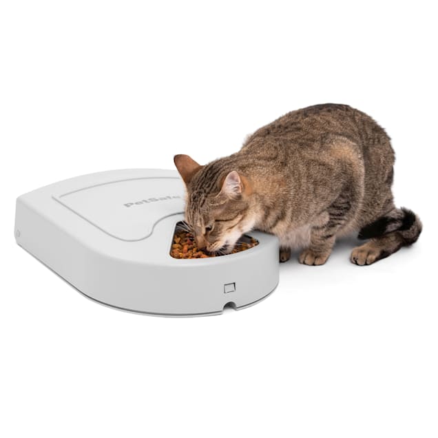 Pet Food Feeder Dispenser Toy - Four Paws Gear