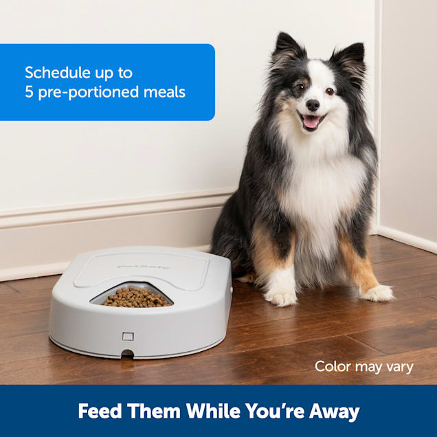 Petsafe 5 meal hot sale