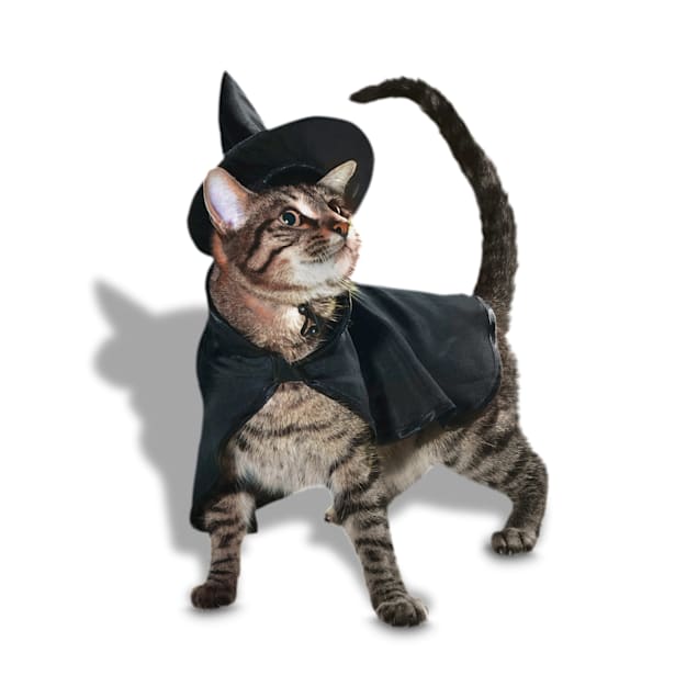 Petco Witch 2-Piece Cat Halloween Costume, X-Small - Carousel image #1