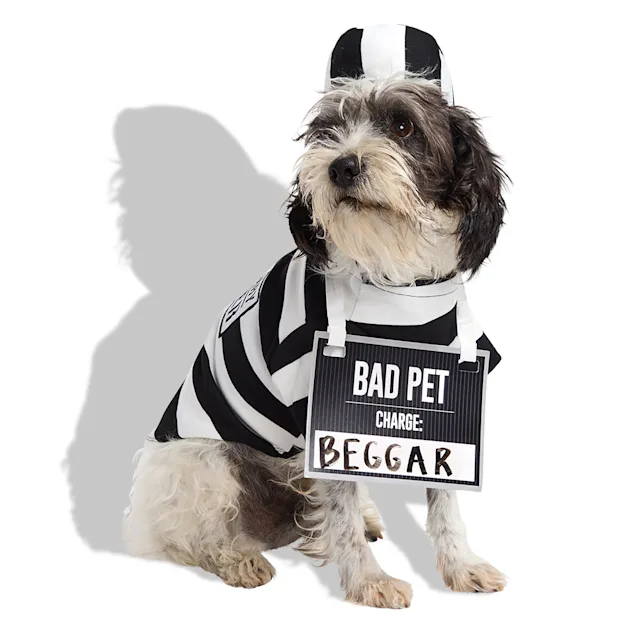 Petco Prisoner Pet Halloween Costume, X-Small - Carousel image #1