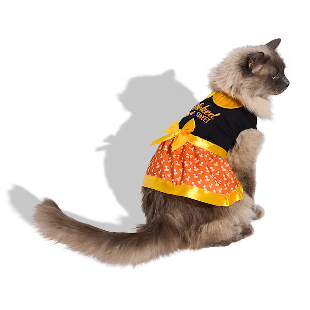 petco christmas dress Petco Polyester Dog Dresses for sale