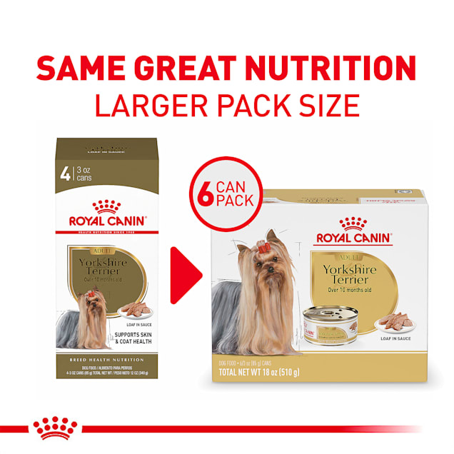 Royal Canin Breed Health Nutrition Yorkshire Terrier Adult Canned Dog Food