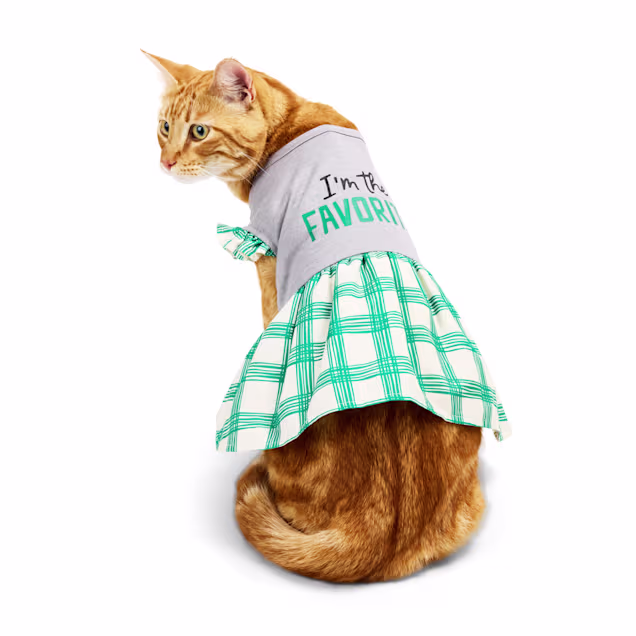 petco christmas dress Youly I'm The Favorite Cat Dress, Green, Large/XL Occassions