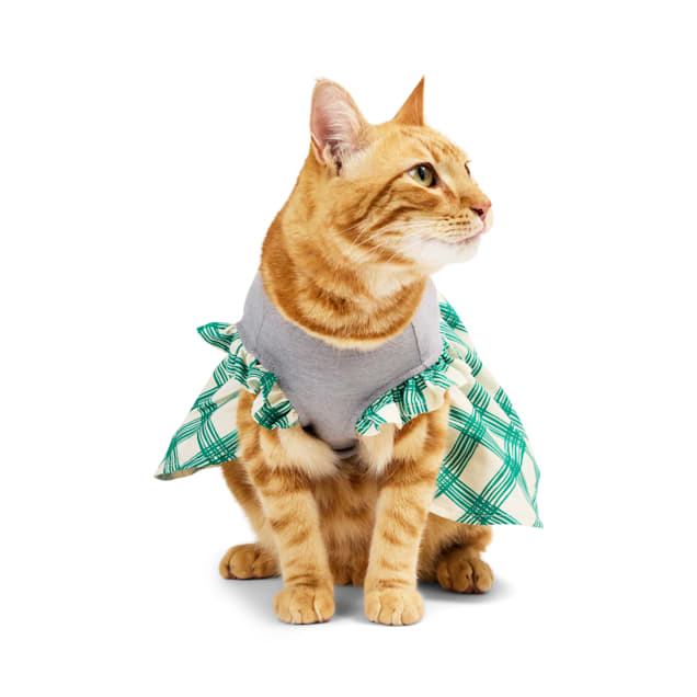 Youly I'm The Favorite Cat Dress, Green, Large/XL