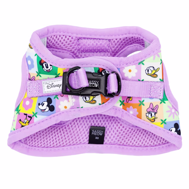 新品 SASSY MEOW サシーミャウ ハローキティ ハーネスXS リーシュ 新品 SASSY MEOW サシーミャウ ハローキティ ハーネスXS リーシュ