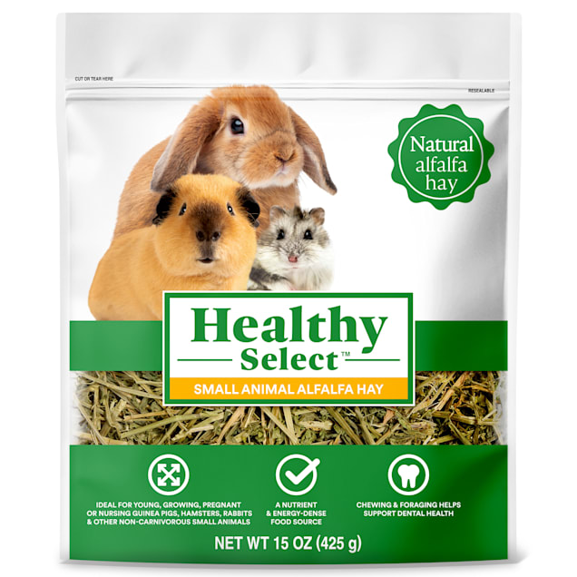 Healthy Select Alfalfa Hay for Small Animal, 15 oz. - Carousel image #1