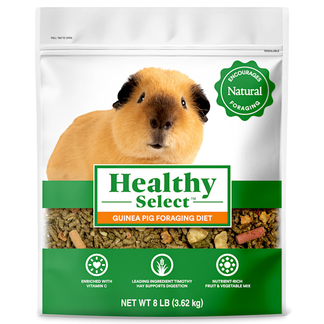 Healthy Select Guinea Pig Foraging Diet for Small Animals, 8 lbs. - Carousel image #1