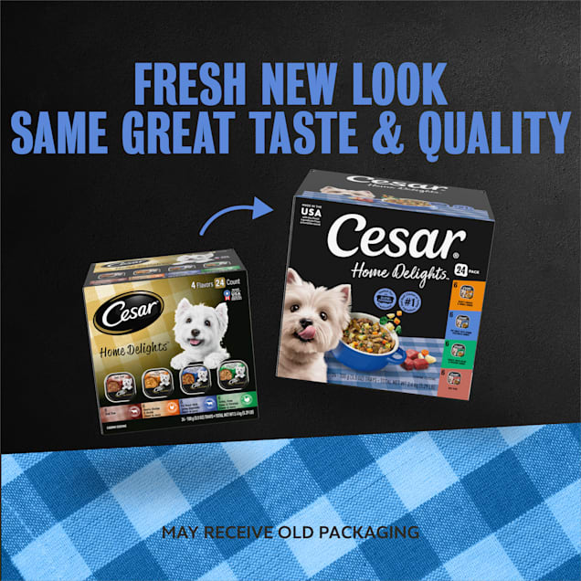 Cesar Home Delights Adult Soft Wet Dog Food Meat and Poultry