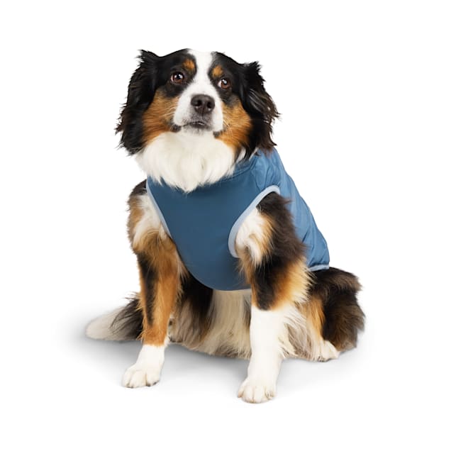 Reddy Quilted Puffer Dog Vest, Blue, X-Small | Petco