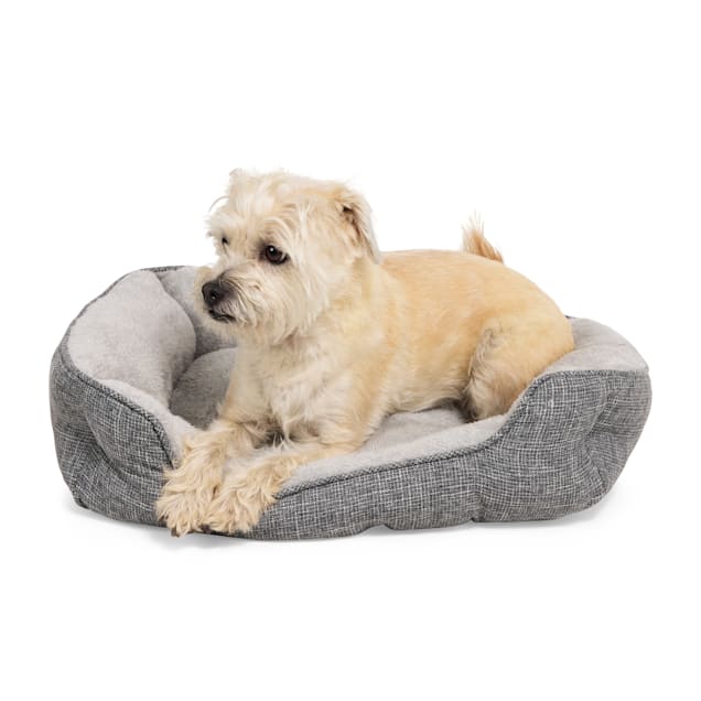 EveryYay Snooze Fest Grey Rectangle Nester Box Dog Bed, 32" L X 24" W - Carousel image #1