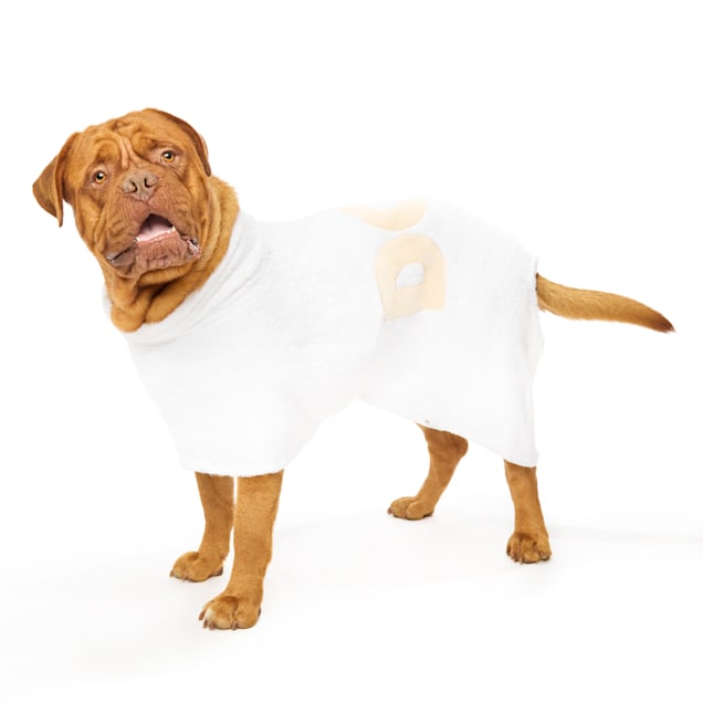 DOG by Dr Lisa Poncho, White, X-Small - Carousel image #1