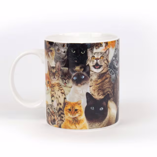 Gift Republic Crazy Cat Lady Mug - Carousel image #1