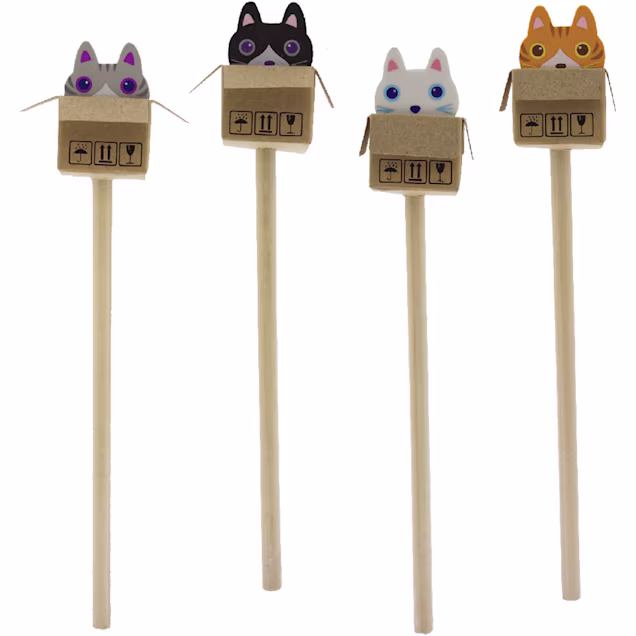 Cat in the Box Eraser & Pencil Duo - Carousel image #1