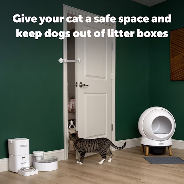 PetSafe Easy Latch Cat Door, White Petco - Main Image