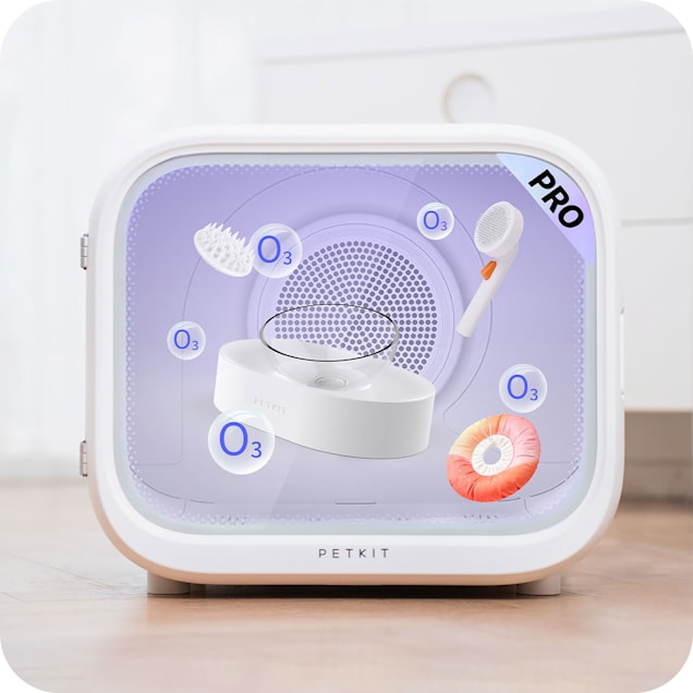 Petkit AirSalon Max Pro Pet Dryer Box | Petco