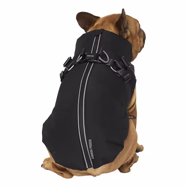 Canada Pooch Complete Control Harness Winter Dog Jacket, 12, X-Small, Black - Carousel image #1