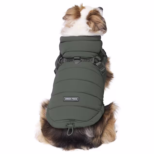 Canada Pooch Harness Puffer for Dogs, 16, Medium, Green - Carousel image #1