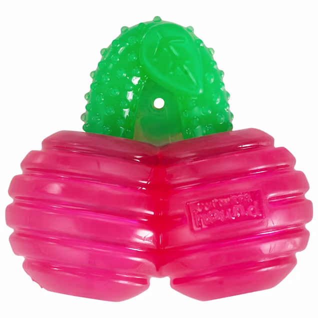Outward Hound Gummiez Cherries 2-in-1 Dental Dog Chew Toy and Dog Treat Stuffer Game Cherry Scent for Dogs, Small - Carousel image #1