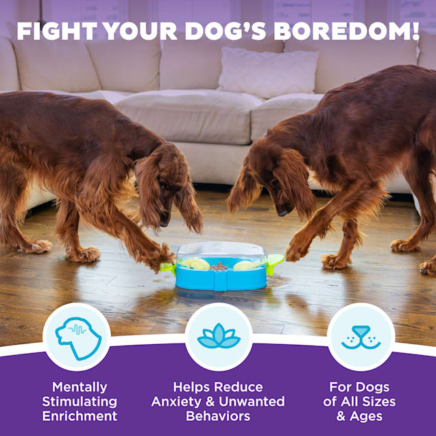 Outward Hound by Nina Ottosson Paw N' Play Dog Treat Puzzle Level