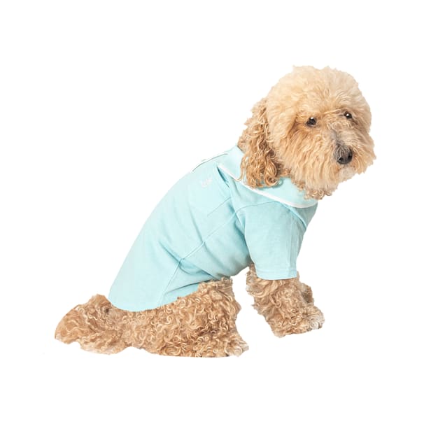 Original Penguin Aqua Pique Polo for Dogs, Medium - Carousel image #1