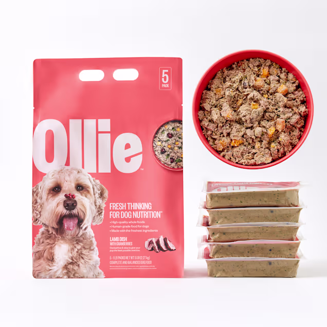 Ollie Fresh Lamb Dish with Cranberries Dog Food, 5 lbs. - Carousel image #1