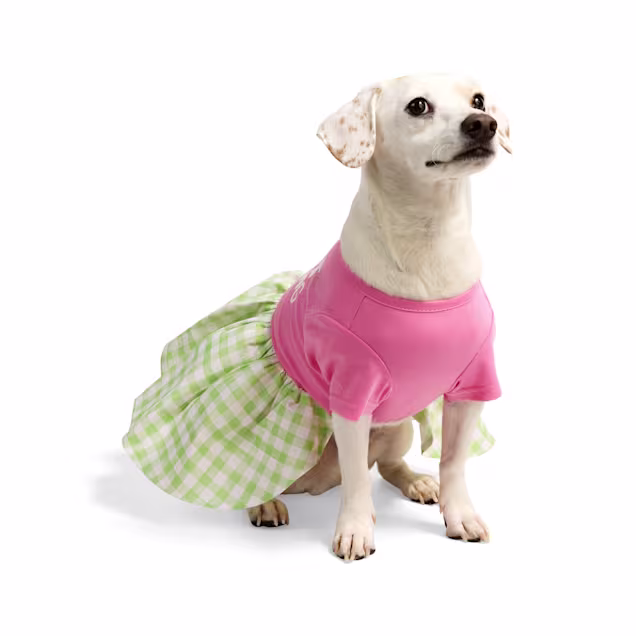 YOULY Perfect Is Boring Pet Dress, XX-Small | Petco