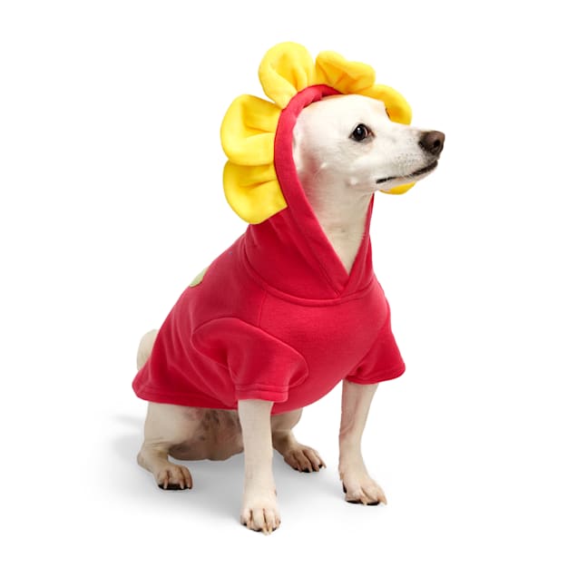 YOULY Flower Character Pet Hoodie, XX-Small | Petco
