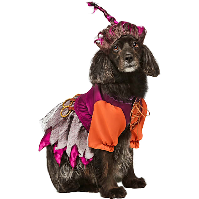 RUBIES Hocus Pocus Mary Sanderson Pet Costume, Multi Colored, Small - Carousel image #1