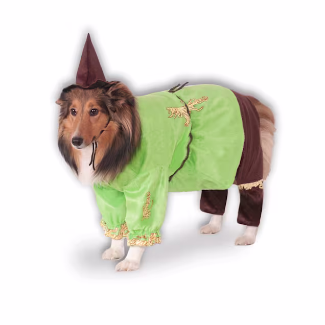 RUBIES The Wizard of Oz Scarecrow Pet Costume, Green, Large - Carousel image #1