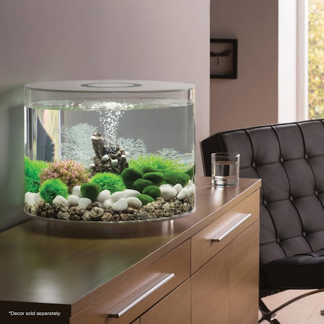 biOrb White TUBE 35 Aquarium with Standard Light, 9.2 Gallons | Petco