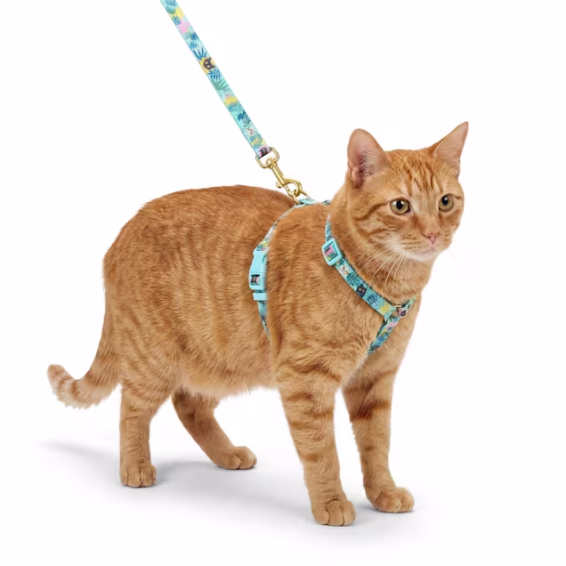 YOULY Tropical Cat Harness and Leash Set, X-Small | Petco
