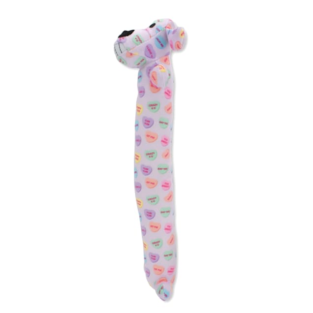 Multipet International Conversation Heart Pattern with Loofa Dog