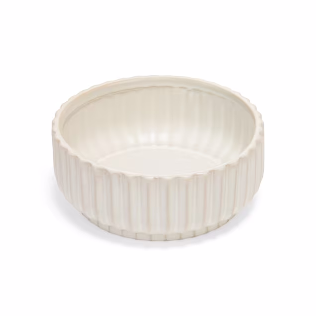 Petco Cream Ribbed Ceramic Dog Bowl, Large, 5.7 Cups | Petco