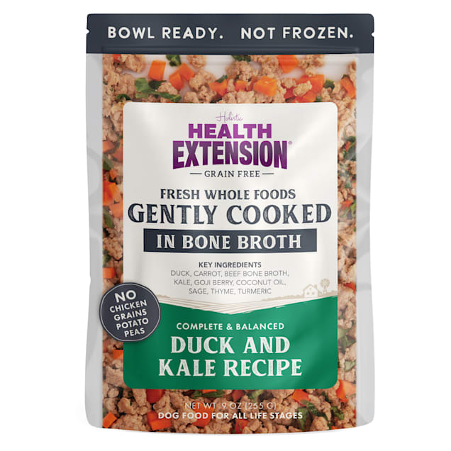 Health Extension Gently Cooked Grain Free Duck & Kale Recipe Wet Dog ...