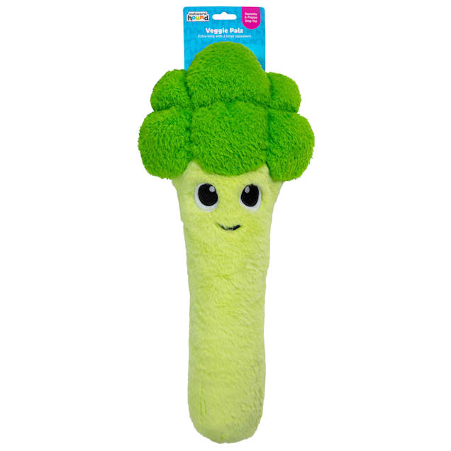 Outward Hound Veggie Palz Broccoli Dog Toys, Large | Petco