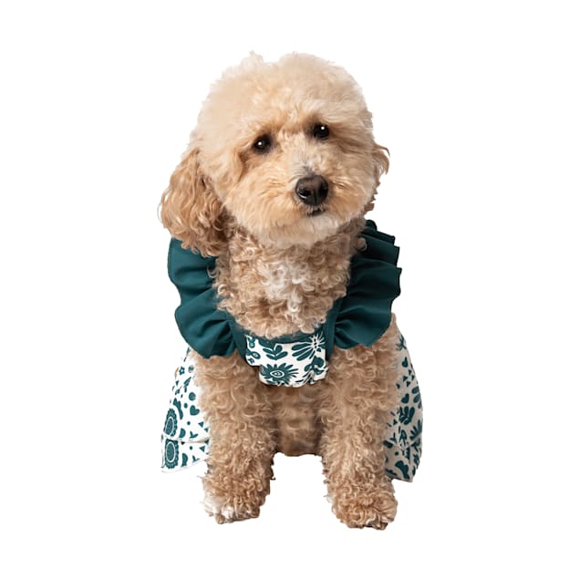 green dress for dogs Designer Khaki Dog Fancy Party Dress | Swarovski Dog Outfit for Wedding  Attire | Dog Costume | Custom Clothes Dog Dress