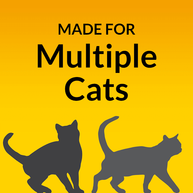 Tidy cats non clumping litter review clearance