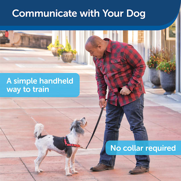 Petco remote training collars discount