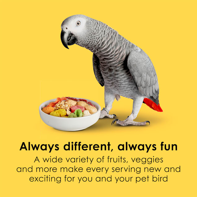 Kaytee Fiesta Parrot Food 25 lbs