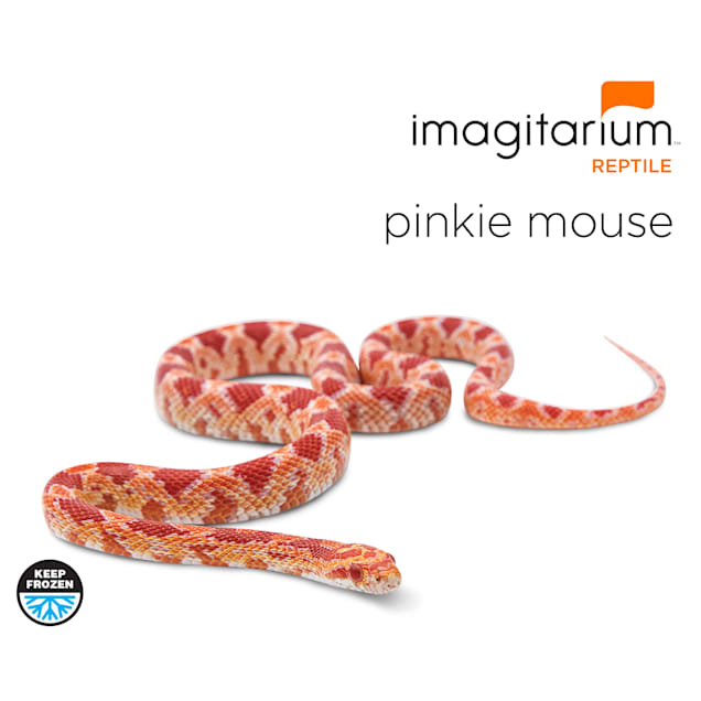 Frozen Pinkie Mouse Small Count of 10 Petco