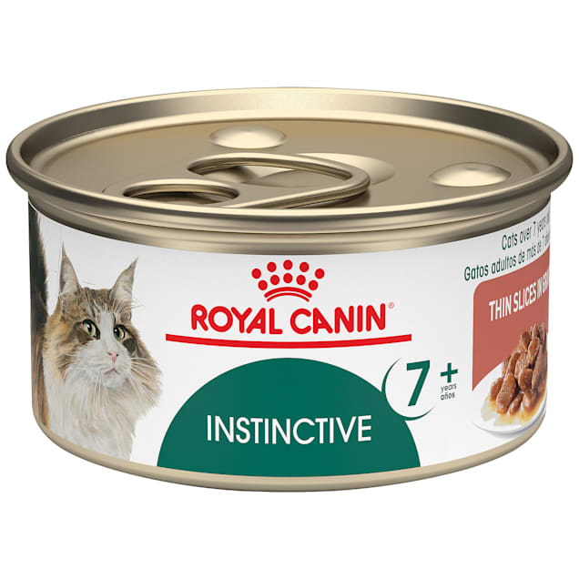 16 Best Cat Foods 2023 The Strategist 60 OFF